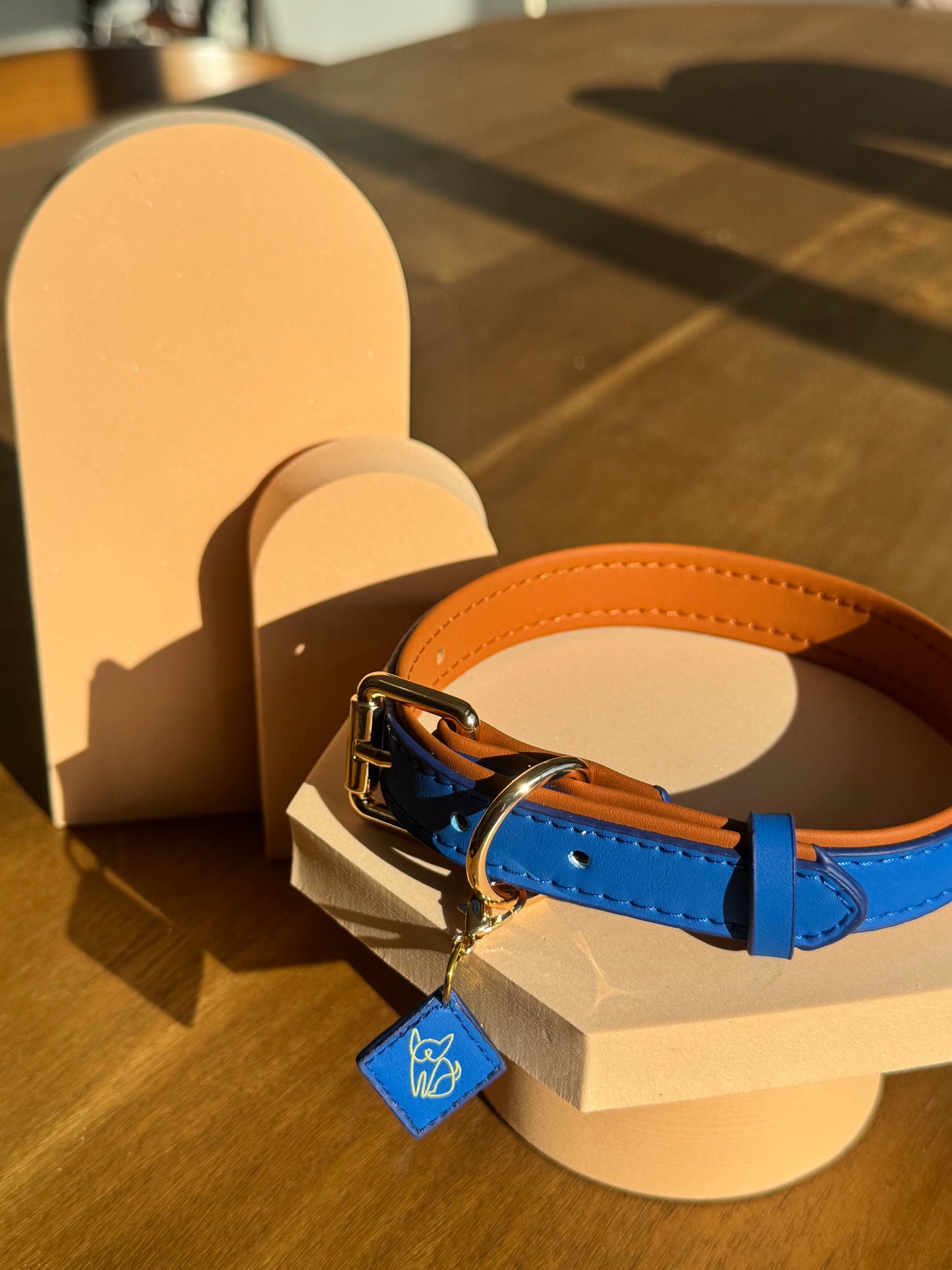 Leash & Collar Set - Blue