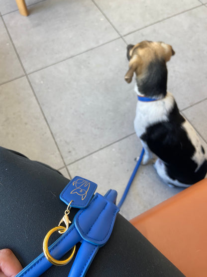 Saint Woof Dog Leash - Blue