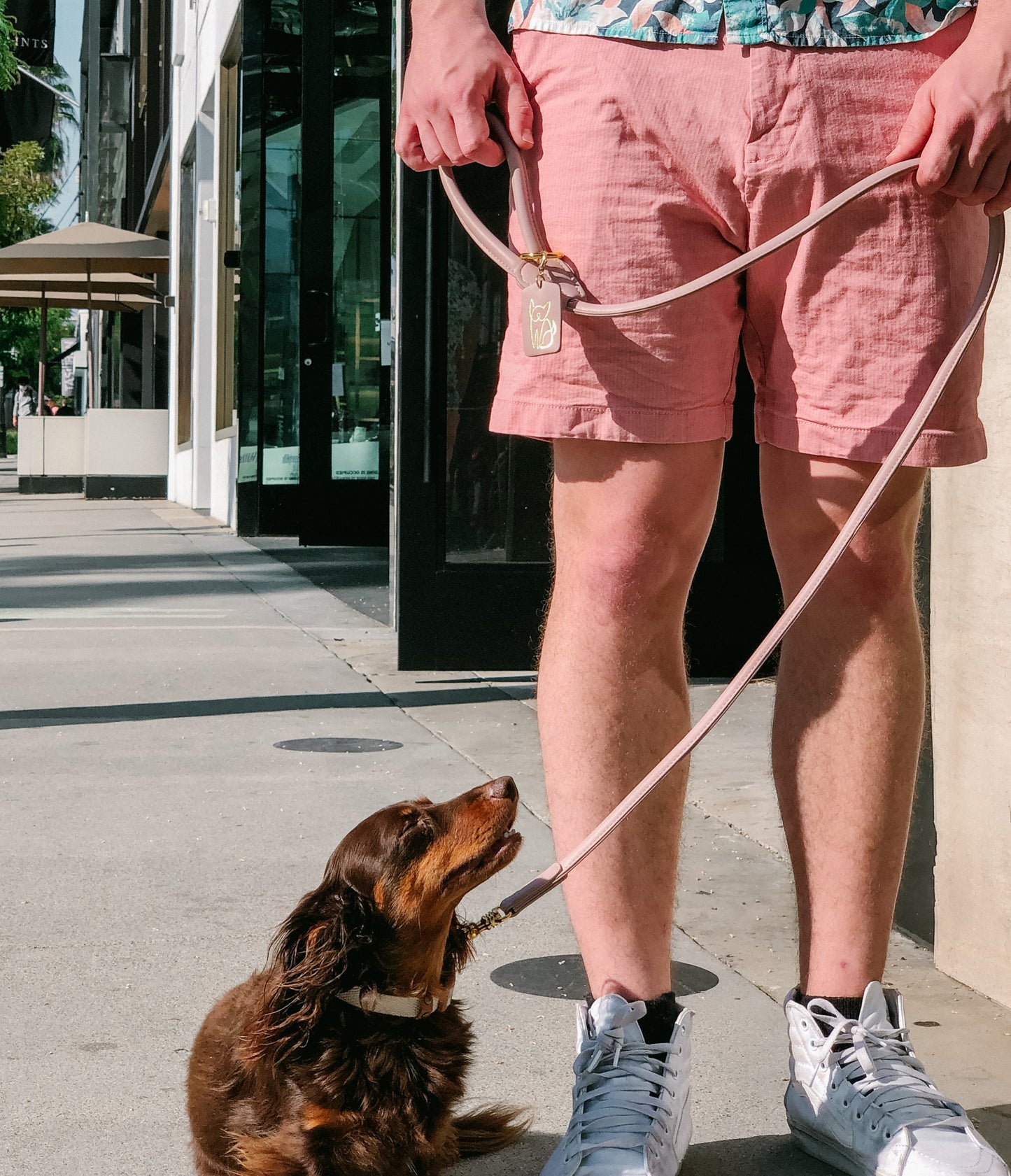 Saint Woof Dog Leash - Nude Pink