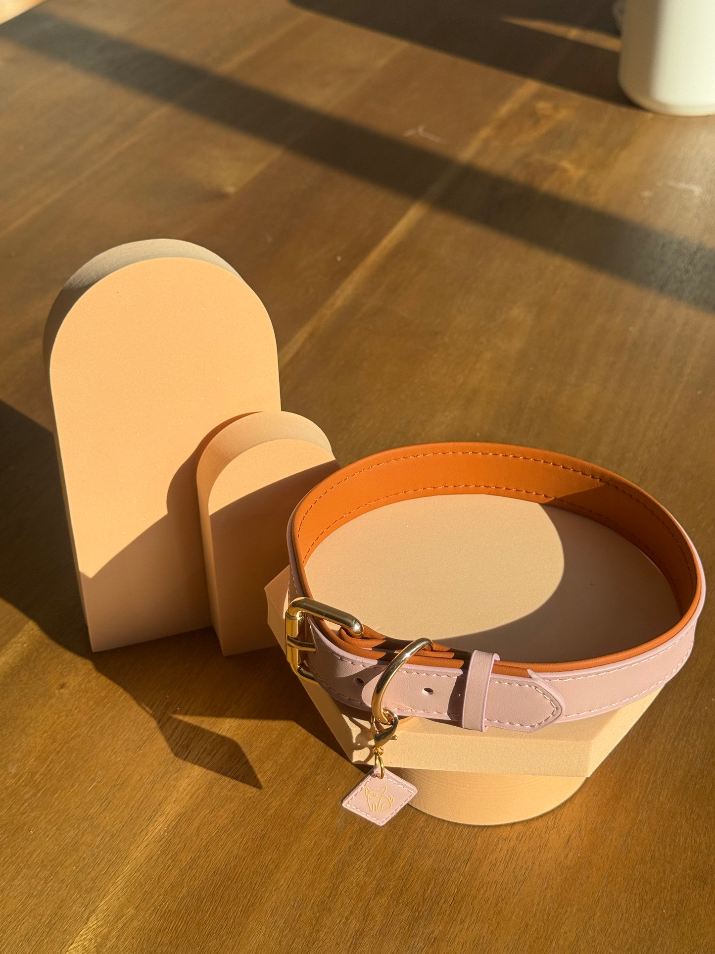 Leash & Collar Set - Nude Pink