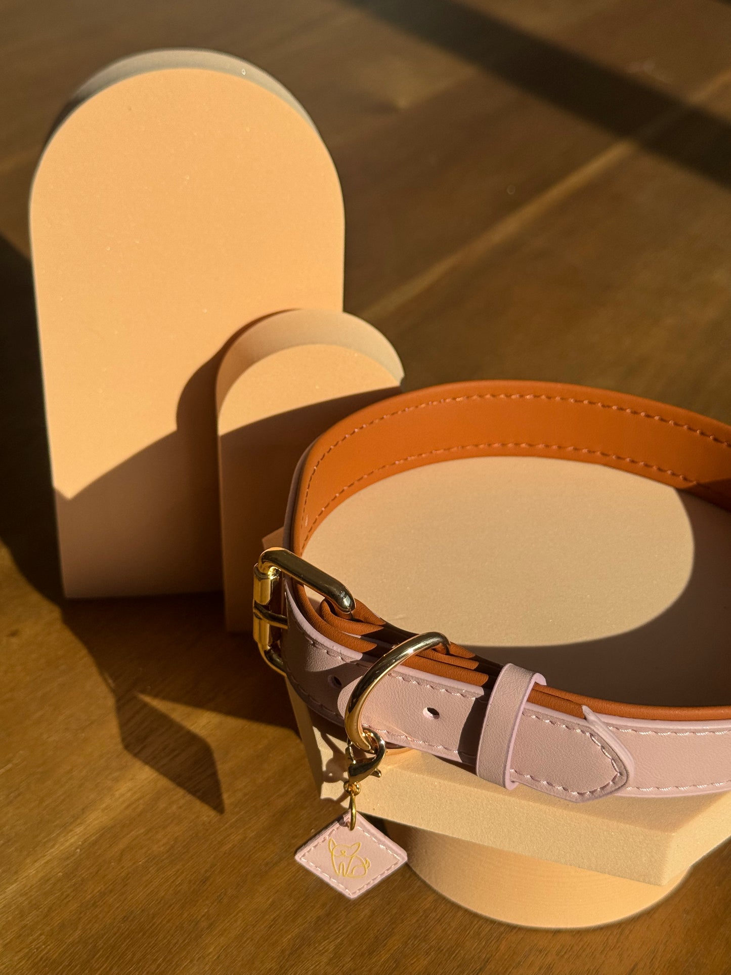 Leash & Collar Set - Nude Pink